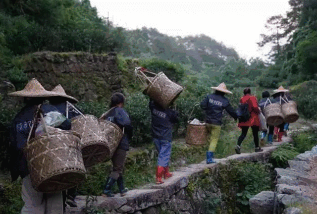 高手，都是少數(shù)派！