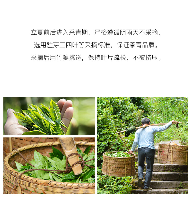 國風大紅袍50g詳情_04.jpg