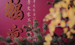 鶴鶴有茗 孝文家茶